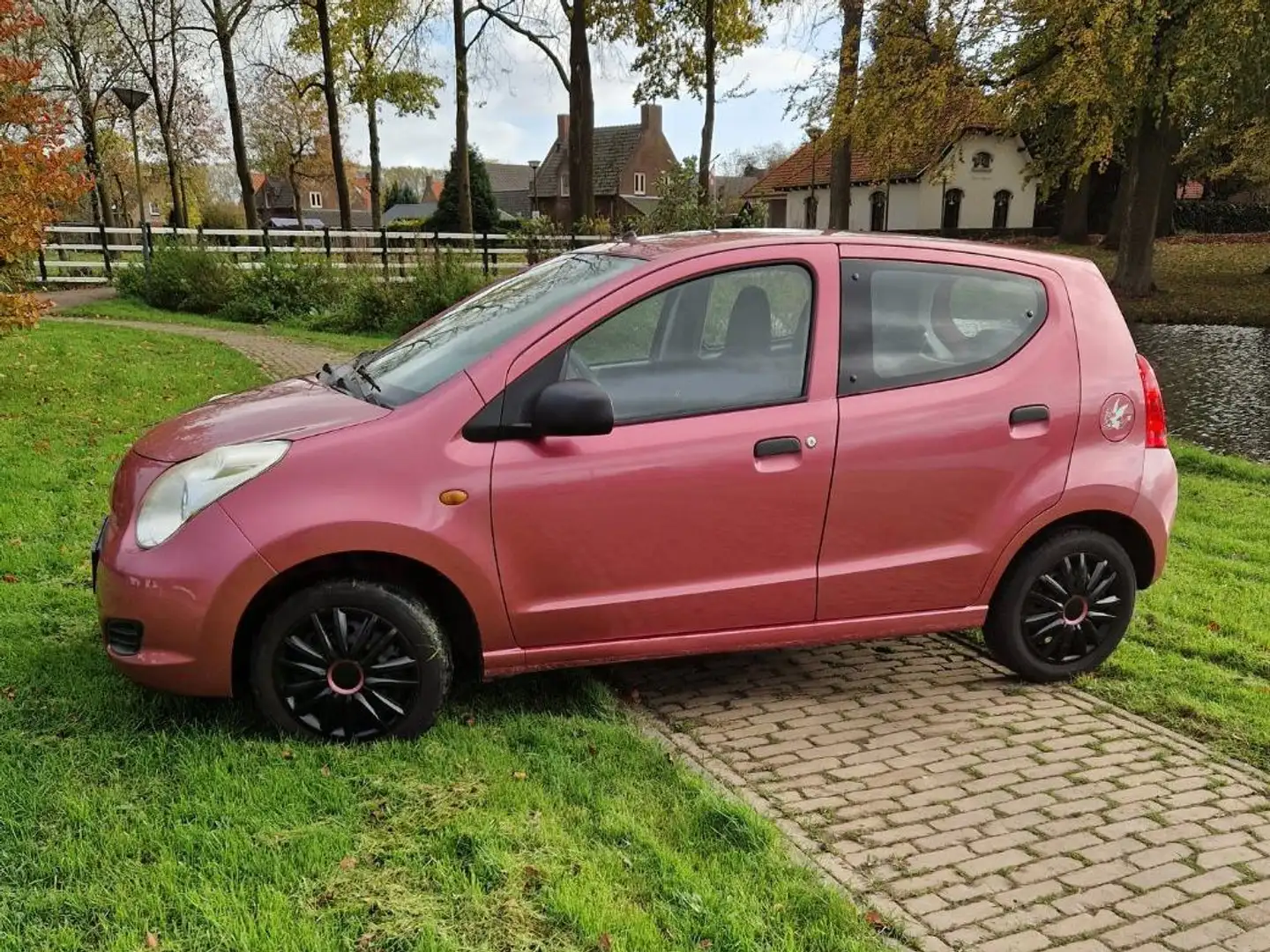 Suzuki Alto Alto 1.0 Comfort Violet - 1