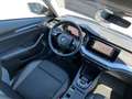 Skoda Octavia Combi 2,0 TDI 4x4  DSG| AHK*STHZ Schwarz - thumbnail 12