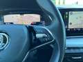 Skoda Octavia Combi 2,0 TDI 4x4  DSG| AHK*STHZ Schwarz - thumbnail 40