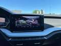 Skoda Octavia Combi 2,0 TDI 4x4  DSG| AHK*STHZ Schwarz - thumbnail 23