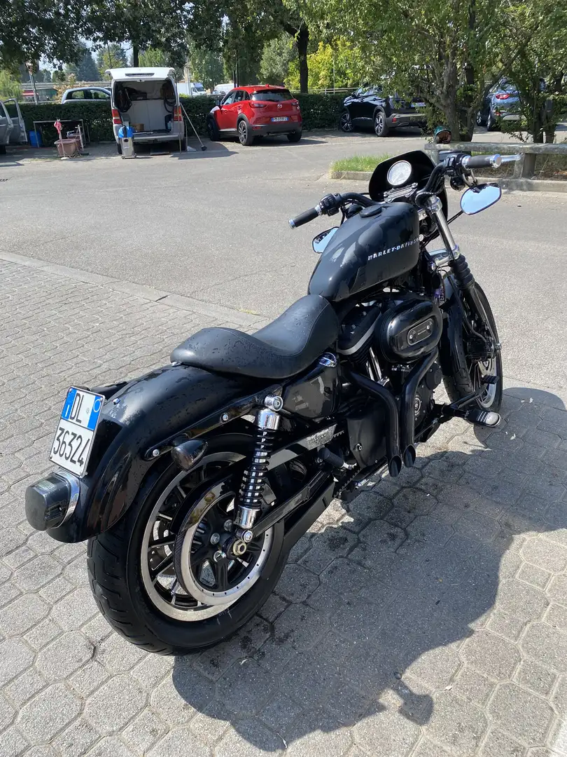 Harley-Davidson Sportster 883 iron - 2