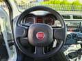 Fiat Panda 1.2 EasyPower Bianco - thumbnail 14