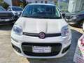 Fiat Panda 1.2 EasyPower Bianco - thumbnail 2