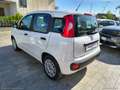 Fiat Panda 1.2 EasyPower Bianco - thumbnail 4