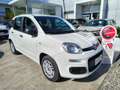 Fiat Panda 1.2 EasyPower Bianco - thumbnail 1