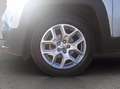 Jeep Renegade 1.6 mjt limited fwd 120cv e6 Grau - thumbnail 12