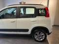 Fiat Panda 1.3 mjt 16v 4x4 75cv Bianco - thumbnail 8