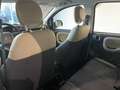 Fiat Panda 1.3 mjt 16v 4x4 75cv Bianco - thumbnail 6