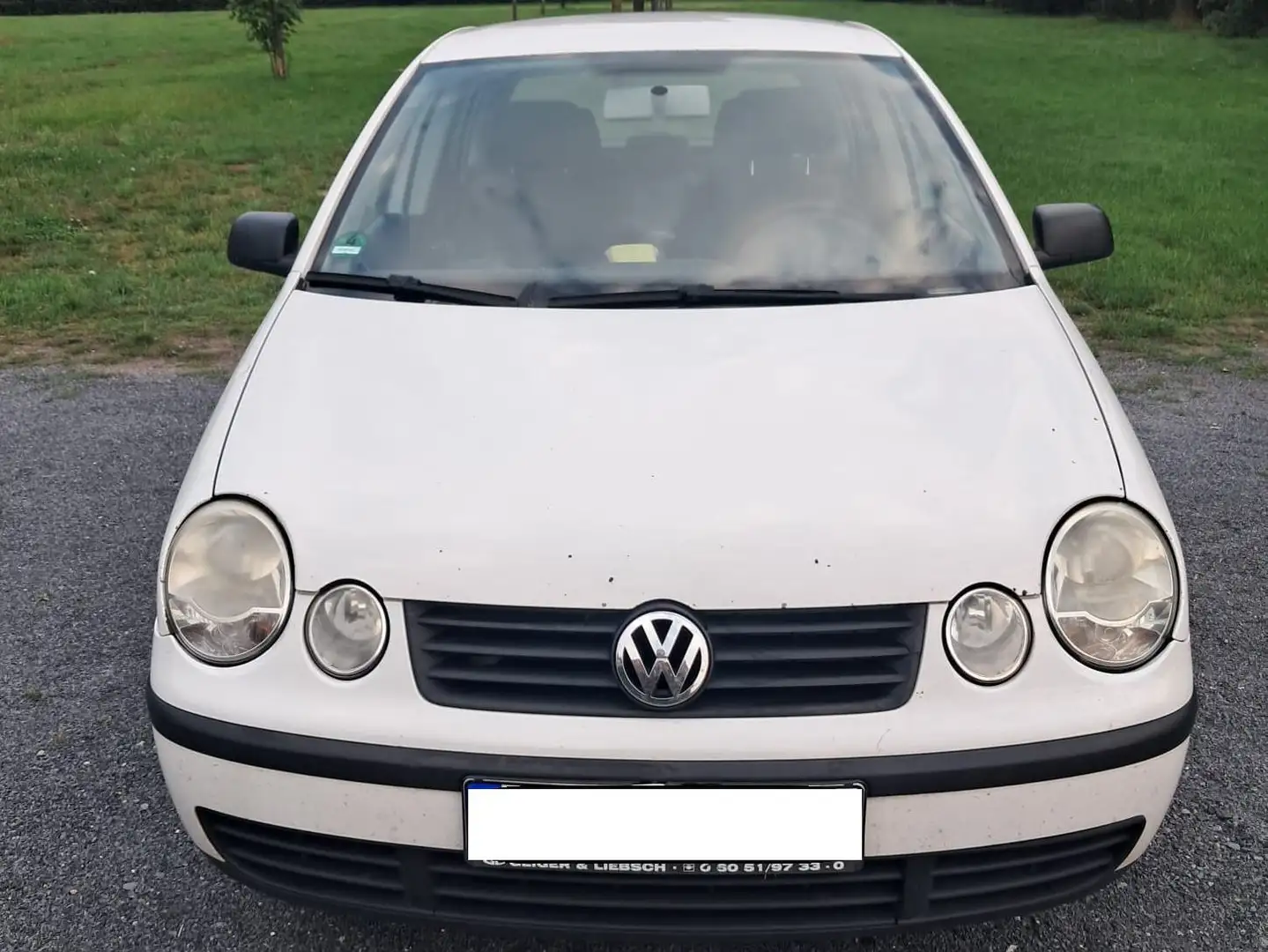 Volkswagen Polo Polo 1.9 TDI White - 2