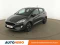 Ford Fiesta 1.0 EcoBoost Trend Gris - thumbnail 1