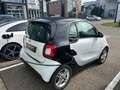 smart forTwo EQ  LM KlimaA PDC Weiß - thumbnail 4