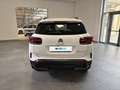 Citroen C5 Aircross BlueHDi 130 S&S Shine EAT8 Bianco - thumbnail 4
