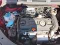 Volkswagen Golf Plus Golf Plus 1.4 TSI Trendline Rot - thumbnail 13