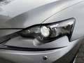 Lexus IS 300 300h Business Line Pro | Navigatie | Camera | DAB Gris - thumbnail 8