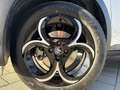 Alfa Romeo Junior Speciale 1.2 VGT Ibrida Blanc - thumbnail 9