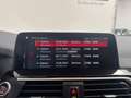 BMW X3 xDrive 20i Aut. xLine *LEDER*CAMERA* Gris - thumbnail 14