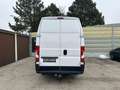Peugeot Boxer 35+ L4H3 BlueHDi 140/MwSt. ausweisbar Weiß - thumbnail 8
