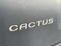 Citroen C4 Cactus 1.2 PureTech Feel 2e Eigenaar,Navi,Trekhaak,Clima, Grijs - thumbnail 33
