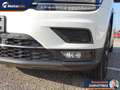 Volkswagen Tiguan 2.0 tdi Advanced 150cv dsg Blanc - thumbnail 24