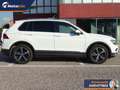 Volkswagen Tiguan 2.0 tdi Advanced 150cv dsg Blanc - thumbnail 6