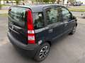 Fiat Panda 1.2 8V Active Blau - thumbnail 10