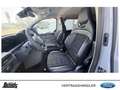 Ford Transit Custom 320 L2H1 LKW 4x4 Autm. MS-RT STANDHEIZUNG Grau - thumbnail 12