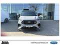 Ford Transit Custom 320 L2H1 LKW 4x4 Autm. MS-RT STANDHEIZUNG Grau - thumbnail 2