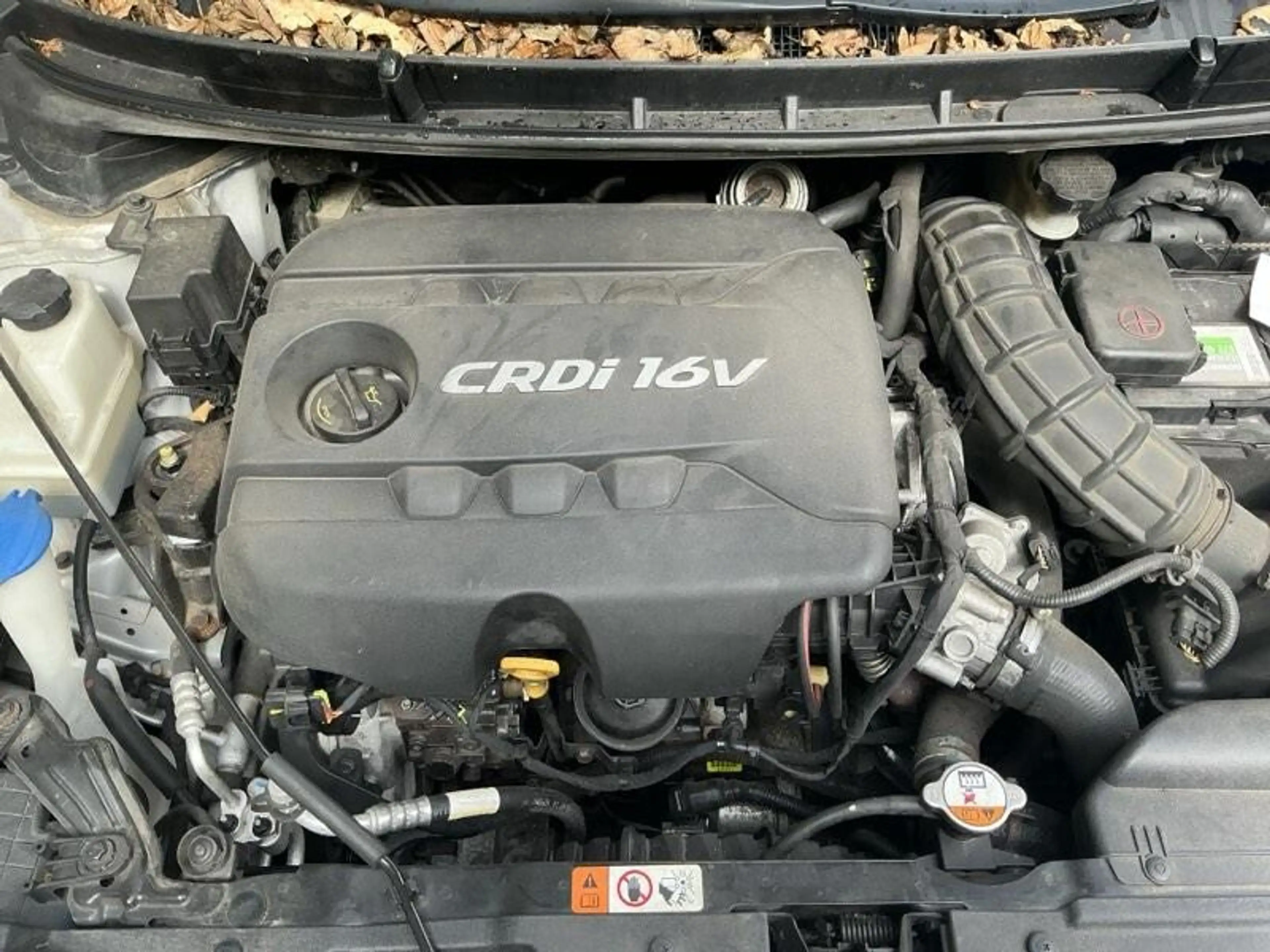 Hyundai i30 FIFA World Cup Edition — photo 8