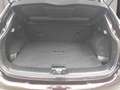 Nissan Qashqai 1,6 Acenta 4x4 Violett - thumbnail 11