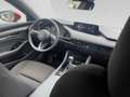 Mazda 3 Mazda3 e-Skyactiv-G140 Centre-Line Rot - thumbnail 20