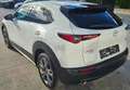 Mazda CX-30 SKYACTIV-X180/AWD/AT/100 YEARS Weiß - thumbnail 8