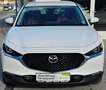 Mazda CX-30 SKYACTIV-X180/AWD/AT/100 YEARS Weiß - thumbnail 3