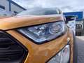 Ford EcoSport 1.0 EcoBoost 125 CV Start&Stop Active Orange - thumbnail 7