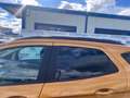 Ford EcoSport 1.0 EcoBoost 125 CV Start&Stop Active Orange - thumbnail 12