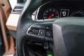 SEAT Ibiza 1.0 TSI S&S Xcellence 115 Brun - thumbnail 22