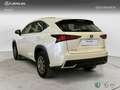 Lexus NX 200t SUV BUSINESS 2.5 Híbrido Gasolina (197CV) Transmi Blanc - thumbnail 2