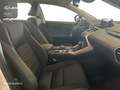 Lexus NX 200t SUV BUSINESS 2.5 Híbrido Gasolina (197CV) Transmi Blanc - thumbnail 6