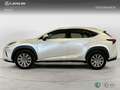 Lexus NX 200t SUV BUSINESS 2.5 Híbrido Gasolina (197CV) Transmi Blanc - thumbnail 3