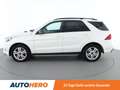 Mercedes-Benz GLE 500 GLE 500e 4Matic AMG Line Weiß - thumbnail 3