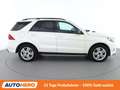 Mercedes-Benz GLE 500 GLE 500e 4Matic AMG Line Weiß - thumbnail 7