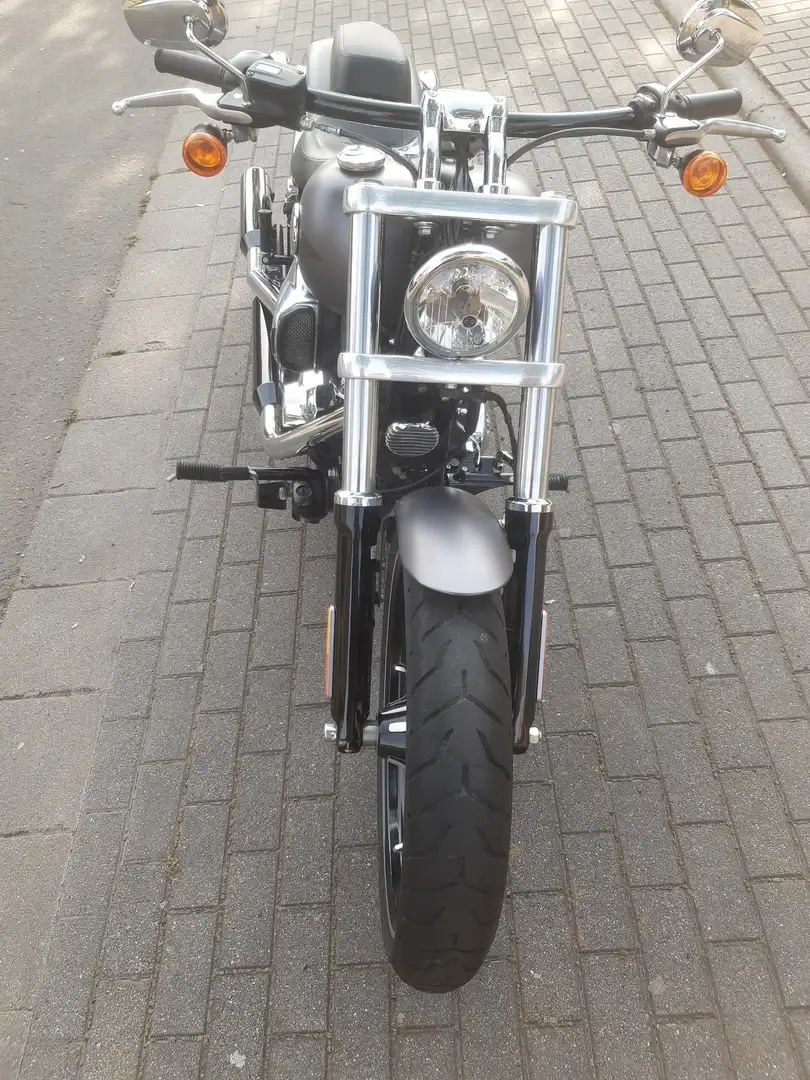 Harley-Davidson CVO Breakout FXSB Breakout Grau - 2
