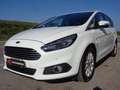 Ford S-Max 2.0TDCi 7p. PREZZO VALIDO FINO 30.12,GARANZIA,km c Bianco - thumbnail 3