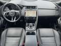 Jaguar E-Pace P300e R-Dynamic SE AWD FLA Leder SpurH LM Grau - thumbnail 10