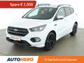Ford Kuga 1.5 EcoBoost ST-Line *XENON*AHK*PANO*CAM* Weiß - thumbnail 1