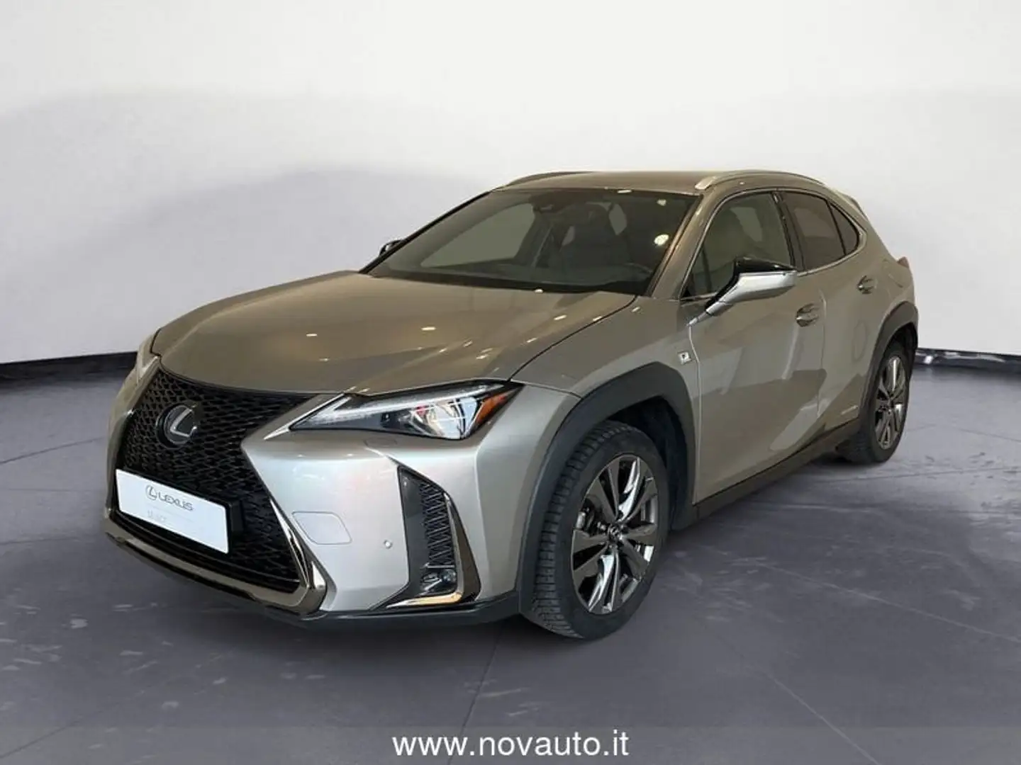 Lexus UX 250h Hybrid F Sport Grigio - 1