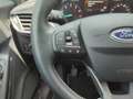 Ford Puma 1.0 ecoboost h Titanium 125 cv Formula GuidaSicuro Blu/Azzurro - thumbnail 13