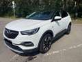 Opel Grandland X Innovation Weiß - thumbnail 1