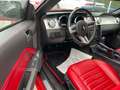 Ford Mustang Rojo - thumbnail 12