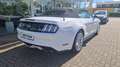 Ford Mustang GT Convertible Blanc - thumbnail 3