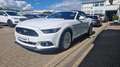 Ford Mustang GT Convertible Blanc - thumbnail 1